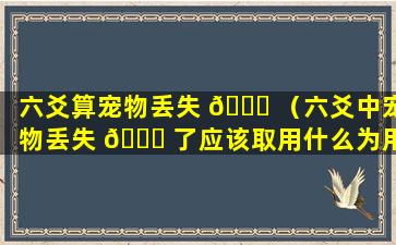 六爻算宠物丢失 💐 （六爻中宠物丢失 🐒 了应该取用什么为用神）